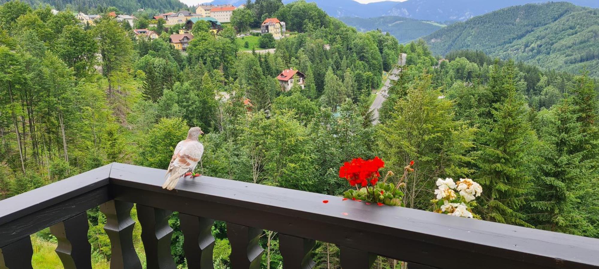 Kurhotel Renona Rehabilitation Semmering Esterno foto