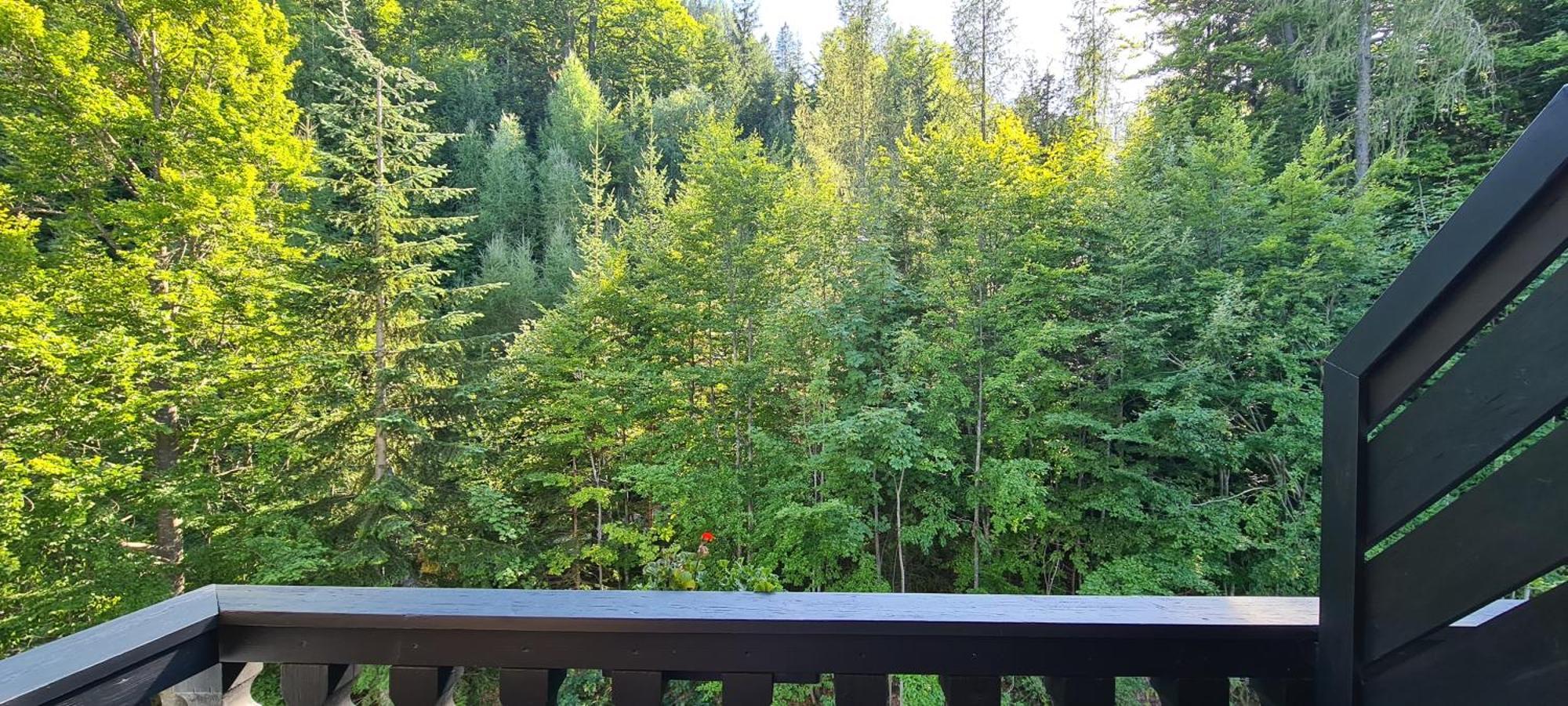 Kurhotel Renona Rehabilitation Semmering Esterno foto